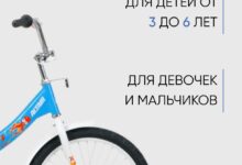 Photo of История популярности голубых велосипедов